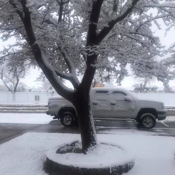 Meet your Posher, Tanya - Picture 1 of 1